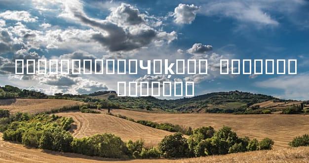 �ͺ���������Ч�ķ���  Ҫ��ϵ���������Ǹ